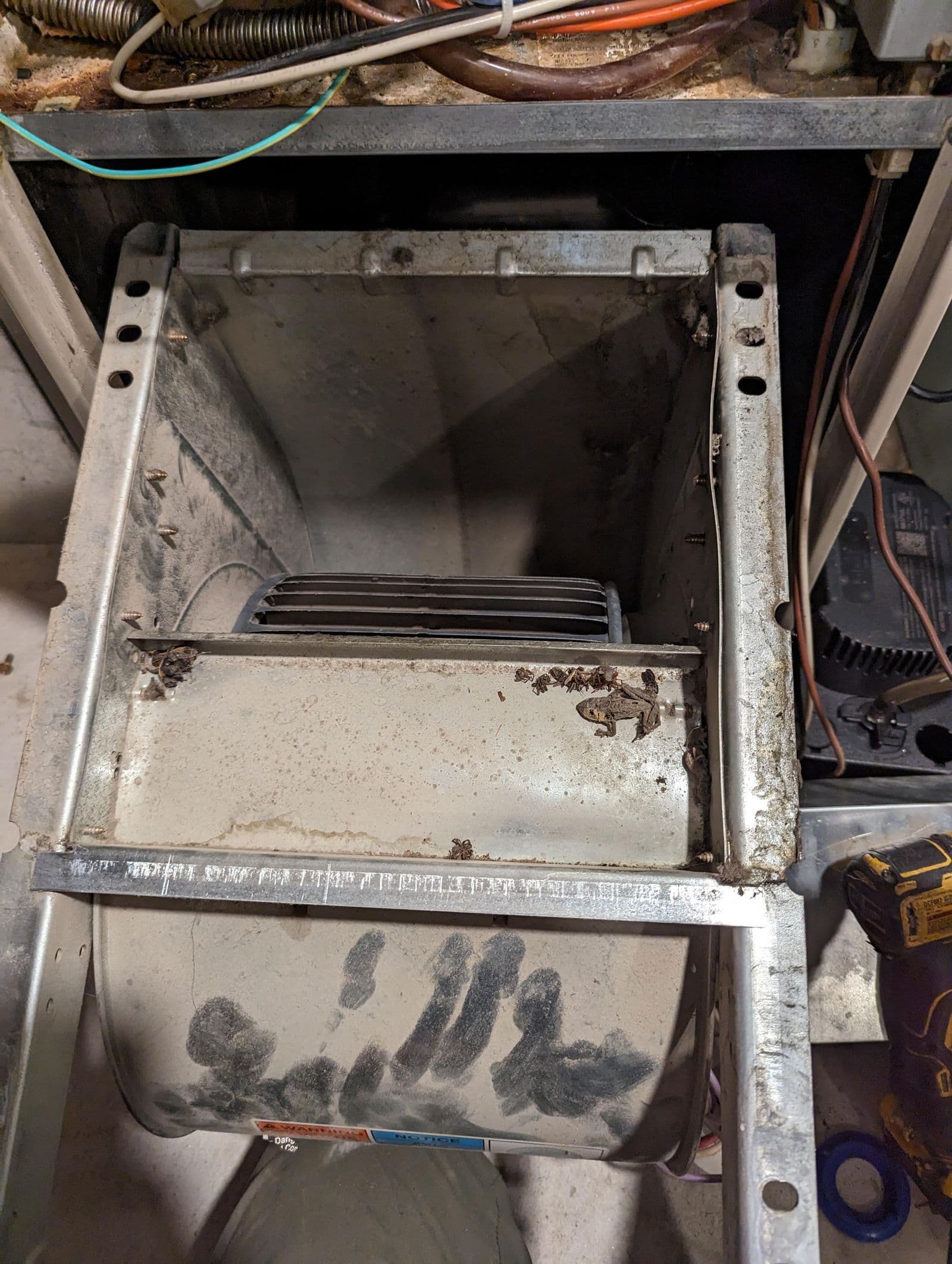 HVAC blower cage inspection and cleaning during maintenance